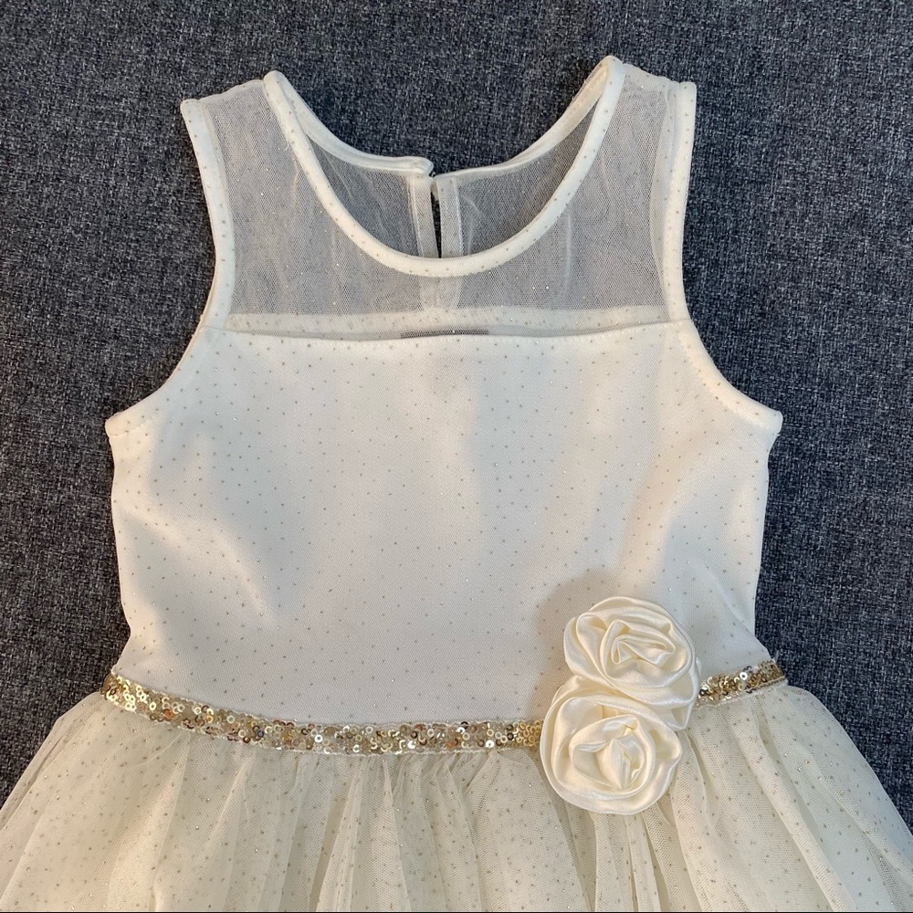 Zunie A-Line Tulle Girl Dress